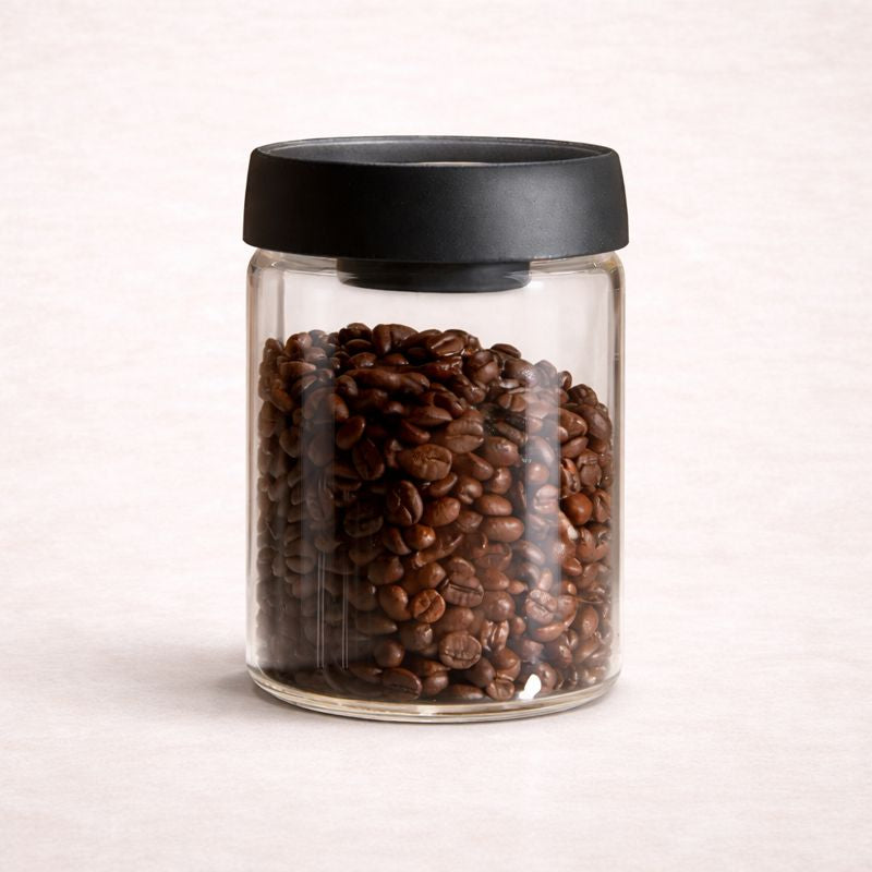 The Brew Manor Essential Care Set